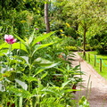 Giverny - Un chemin de fleurs