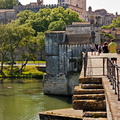 Avignon - Le palais vu du pont