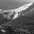 Porto-Vallee du Douro 8.jpg
