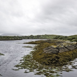 Vers le Nord / Northward